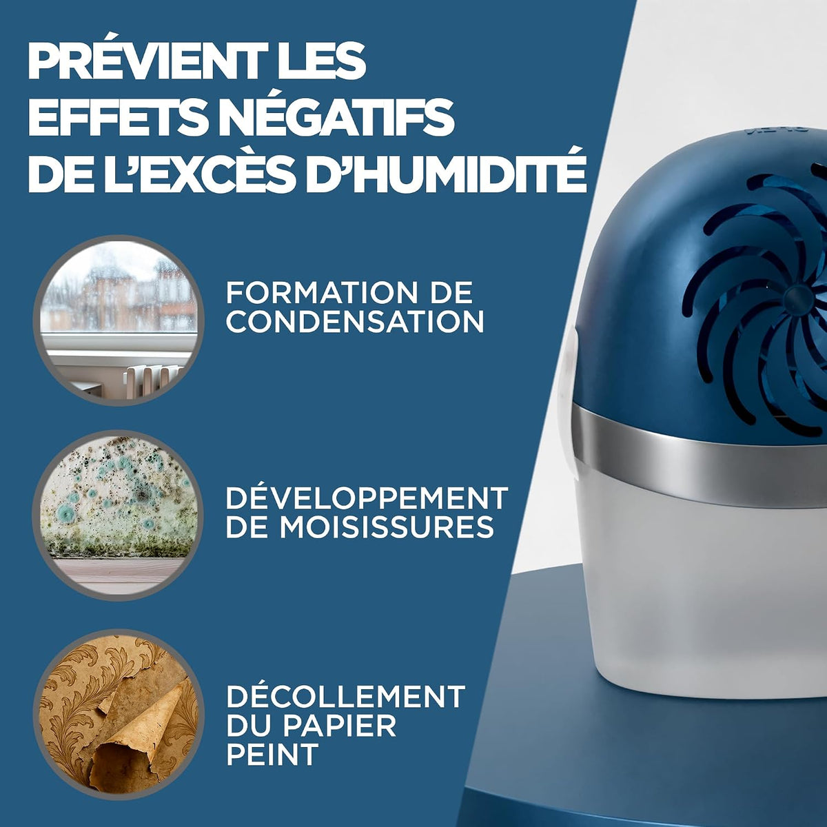  Rubson – Absorbeur D'Humidité Aero